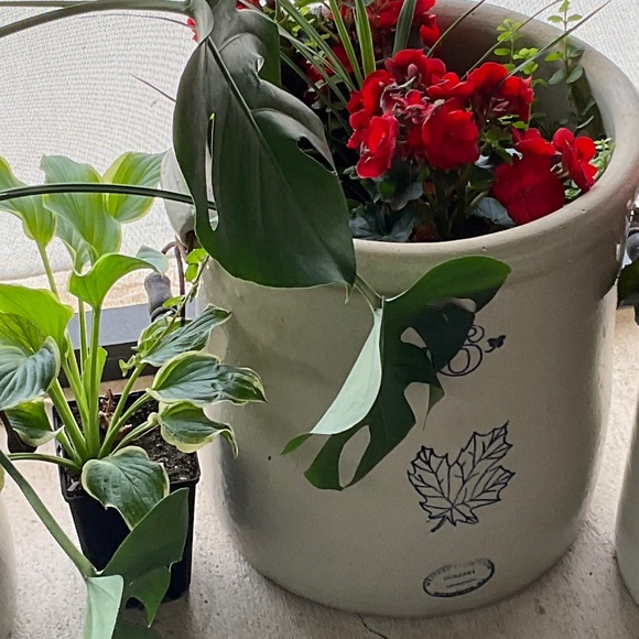 Meet your Posher, Debbie - Picture 1 of 1